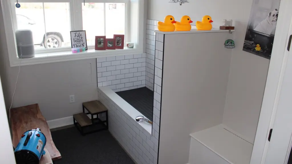 Self-serve pet wash